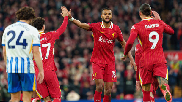 和深刻的学 和深刻的学